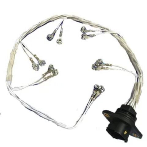 Arnés de Cable Eléctrico 310208-00439