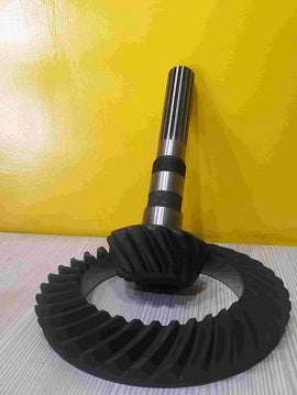 87708393 Speed y Corona