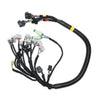 Arnes Cable  14535881