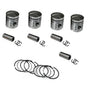 Juego kit de Pistones con Anillo